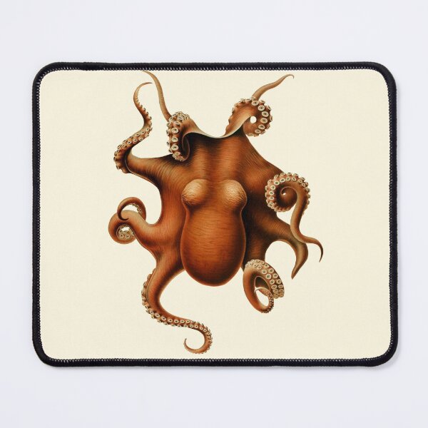 Item preview, Octopus, by Ewald Rübsamen, 1910. designed and sold by ebrawne.