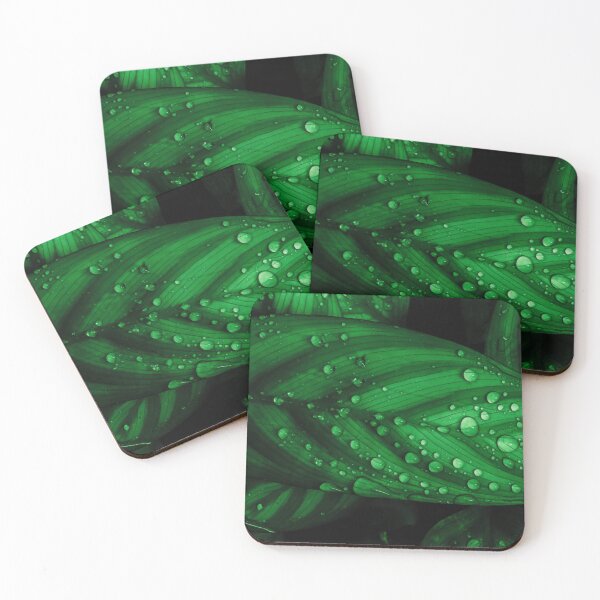 Item preview, Raindrops on Prayer Plant designed and sold by Keith's Photo Artistry.