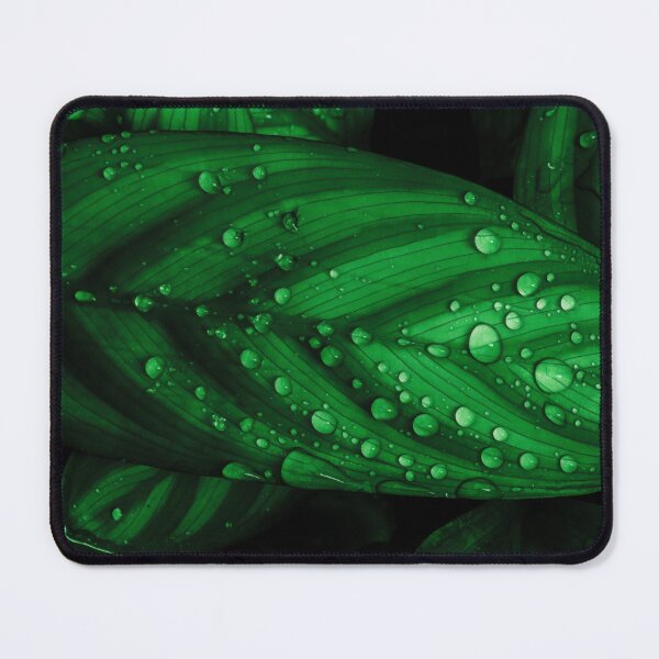 Item preview, Raindrops on Prayer Plant designed and sold by Keith's Photo Artistry.