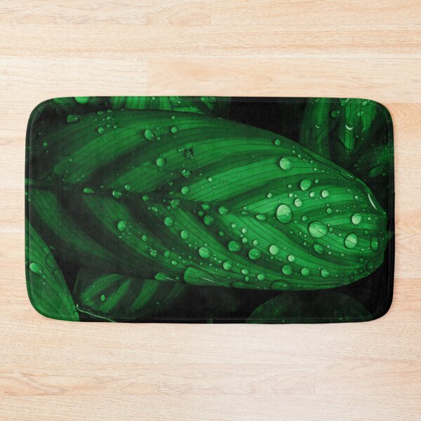 Item preview, Raindrops on Prayer Plant designed and sold by Keith's Photo Artistry.