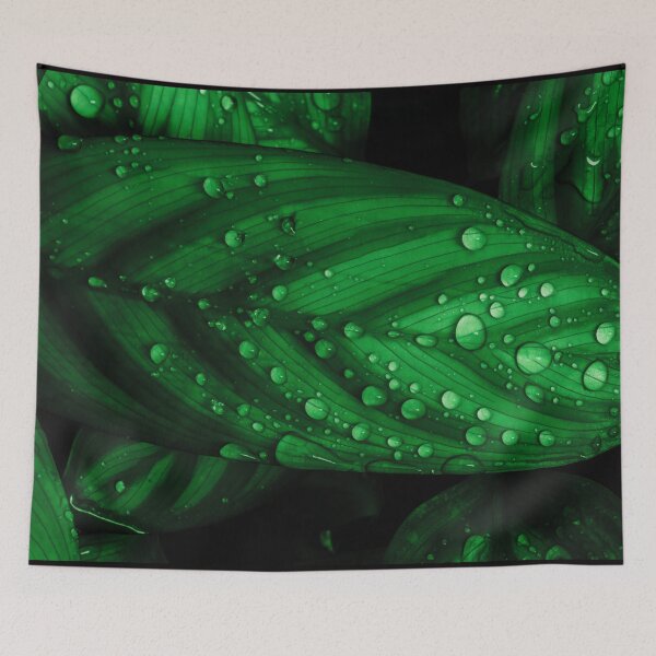 Item preview, Raindrops on Prayer Plant designed and sold by Keith's Photo Artistry.