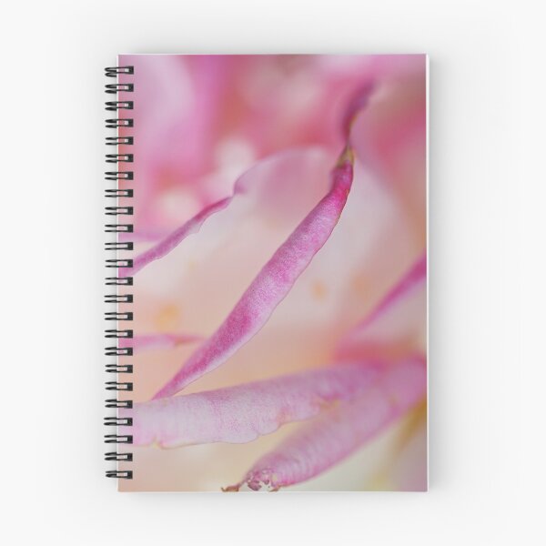 Item preview, Rose Pleats Pink Lush designed and sold by Joy Watson - Natural Light Photography .