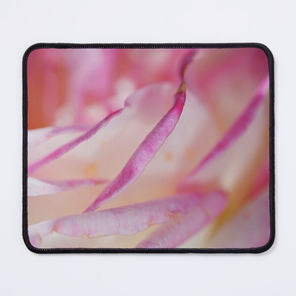 Item preview, Rose Pleats Pink Lush designed and sold by Joy Watson - Natural Light Photography .