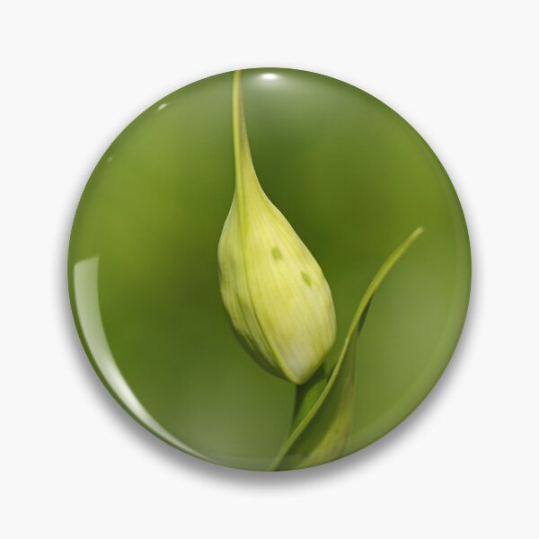 Item preview, Agapanthus Bud With Side Shoot designed and sold by Joy Watson - Natural Light Photography .