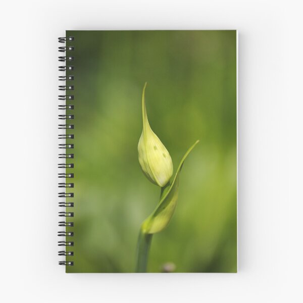Item preview, Agapanthus Bud With Side Shoot designed and sold by Joy Watson - Natural Light Photography .