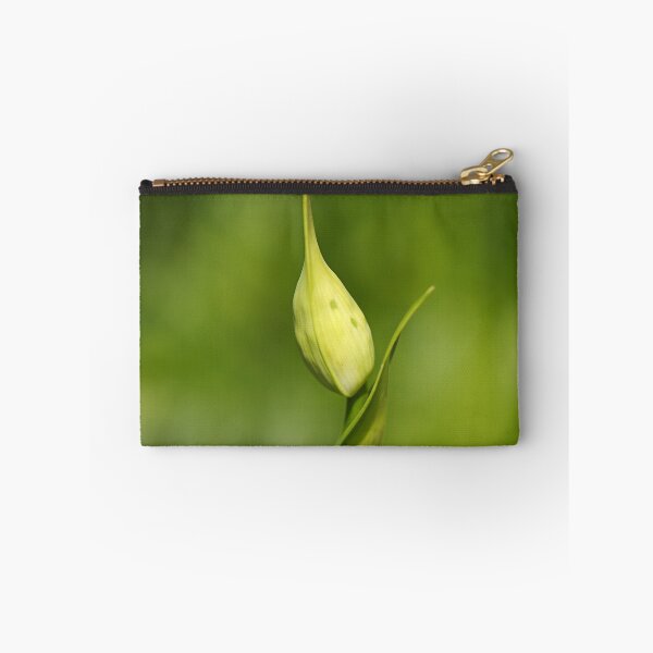 Item preview, Agapanthus Bud With Side Shoot designed and sold by Joy Watson - Natural Light Photography .