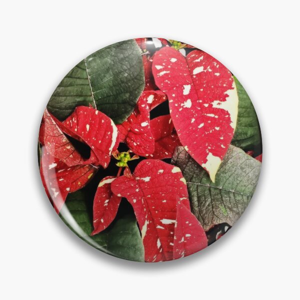 Artikelvorschau, Gefleckte rote Weihnachtssterne von oben entworfen und verkauft von TheSplitWindow.