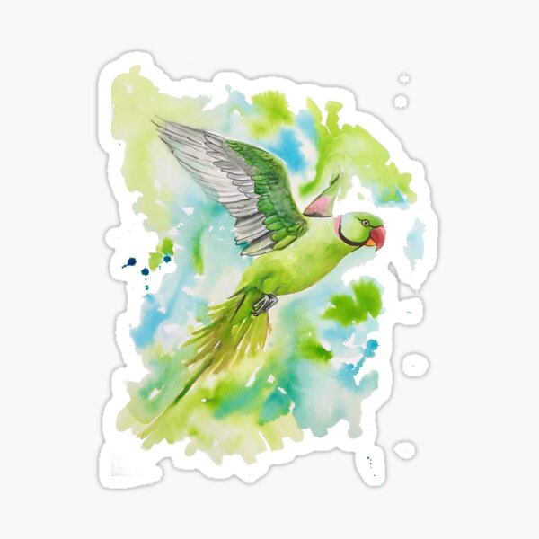 Alexandrine Dreaming Sticker