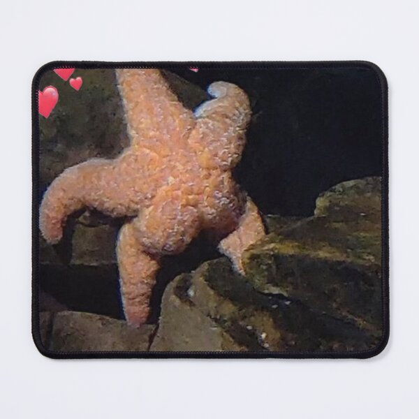 Item preview, cute starfish designed and sold by OneginaEvgenia.