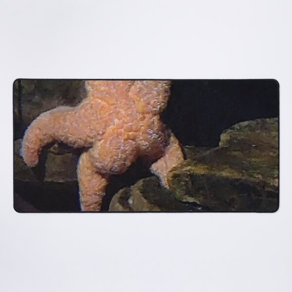 Item preview, cute starfish designed and sold by OneginaEvgenia.