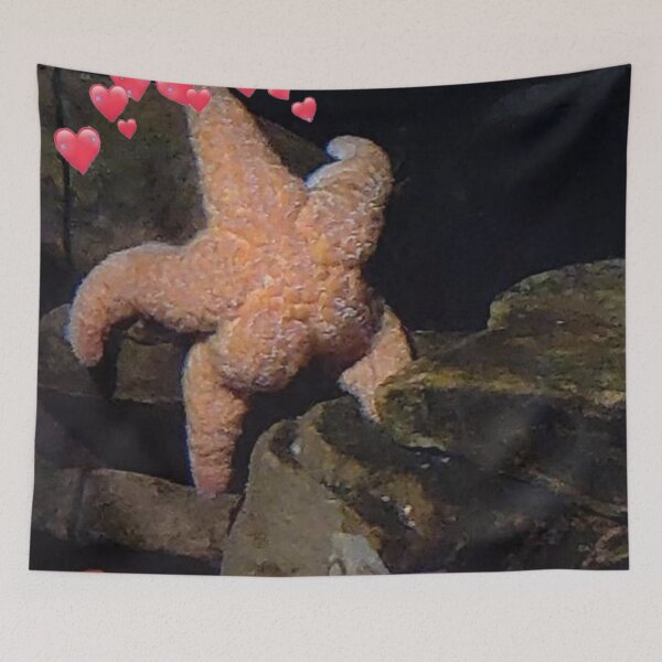 Item preview, cute starfish designed and sold by OneginaEvgenia.