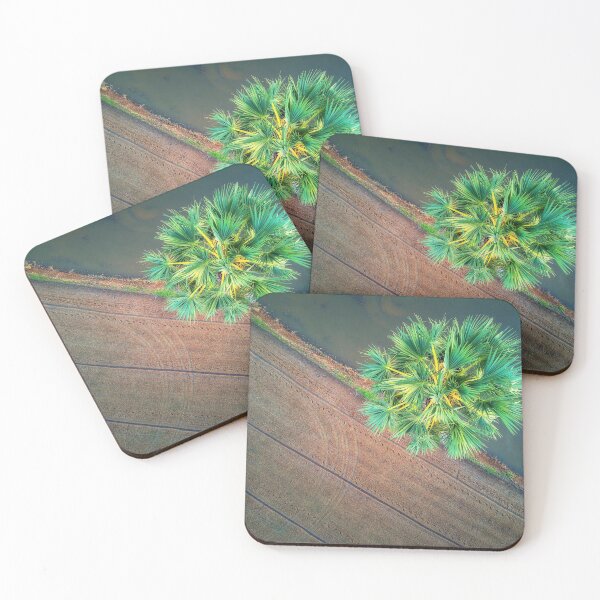 Item preview, Aerial View of a Palm Tree in a Rice Field. designed and sold by Huskyyy Designs.