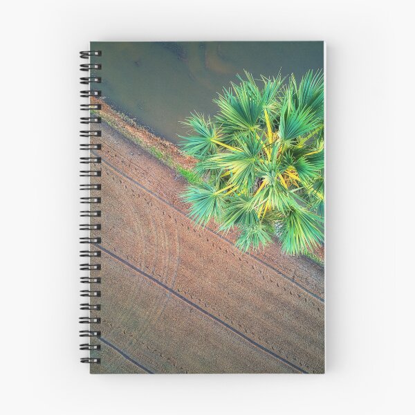 Item preview, Aerial View of a Palm Tree in a Rice Field. designed and sold by Huskyyy Designs.