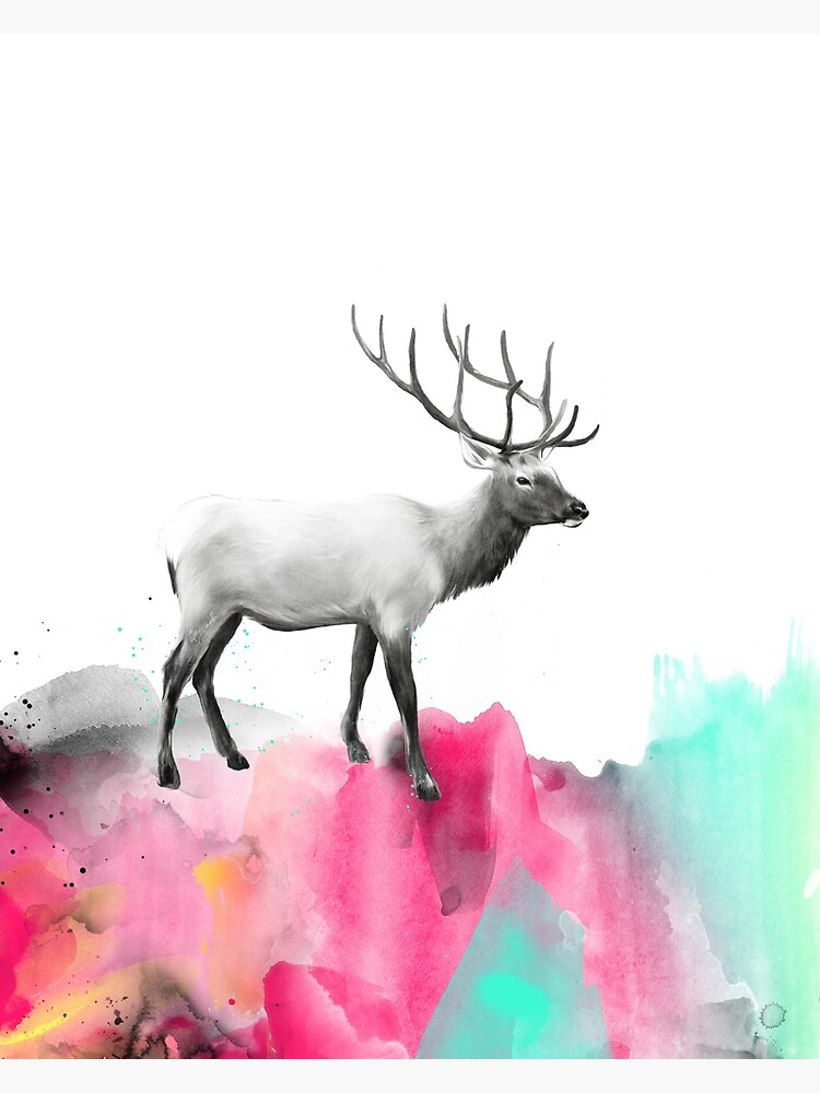 Wild No.2 // Elk by AmyHamilton