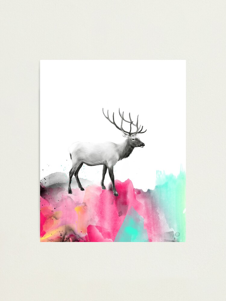 Alternate view of Wild No.2 // Elk Photographic Print