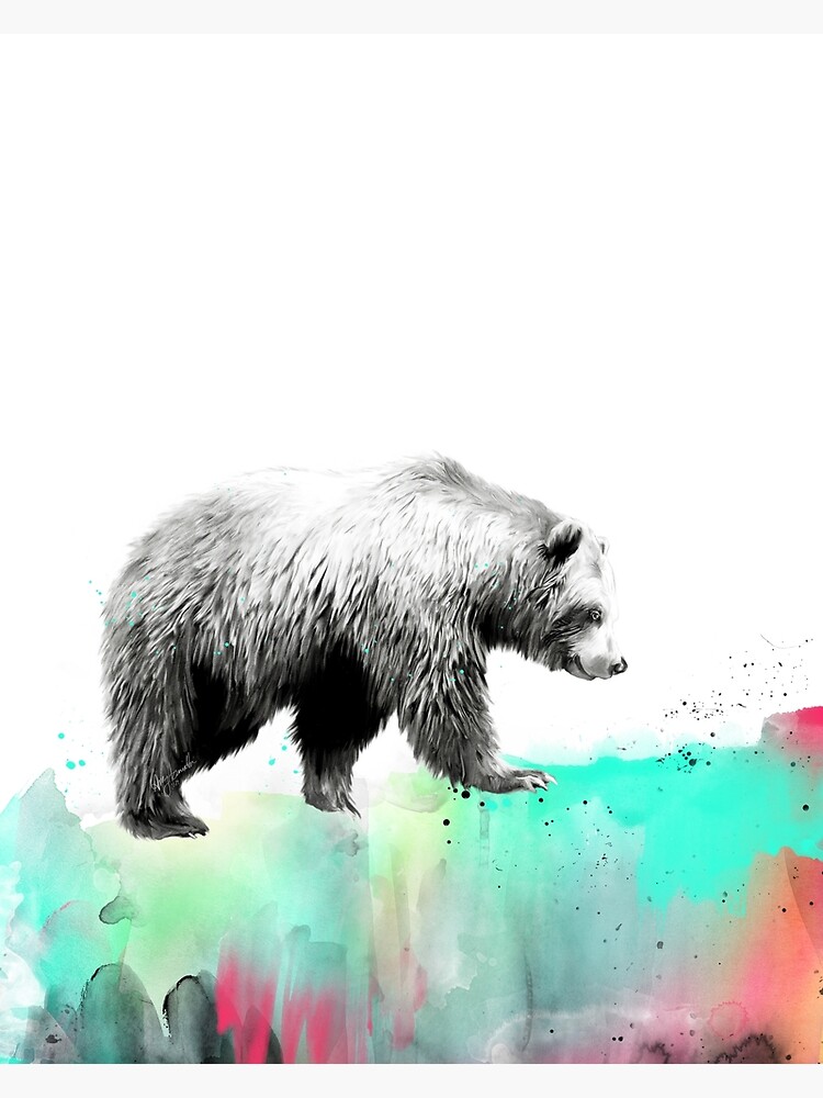 Wild No.1 // Bear by AmyHamilton