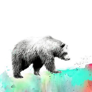 Artwork thumbnail, Wild No.1 // Bear by Amy Hamilton