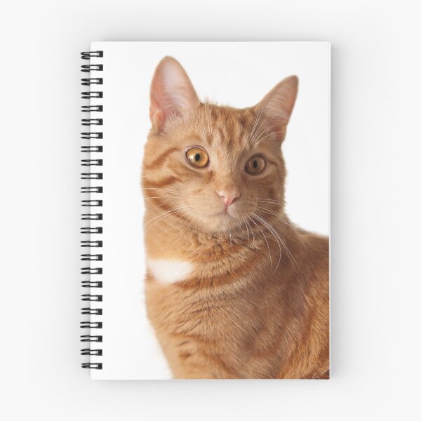 Item preview, Ginger cat designed and sold by Traida.