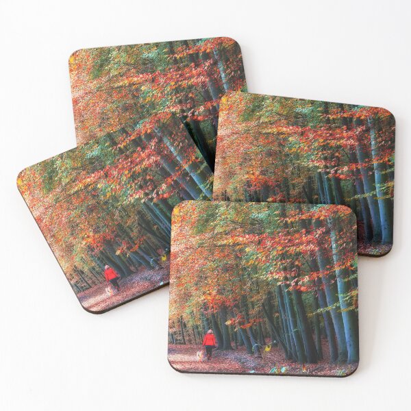 Item preview, Newmillerdam Autumn Woodland Portrait designed and sold by Alisonchambers2.
