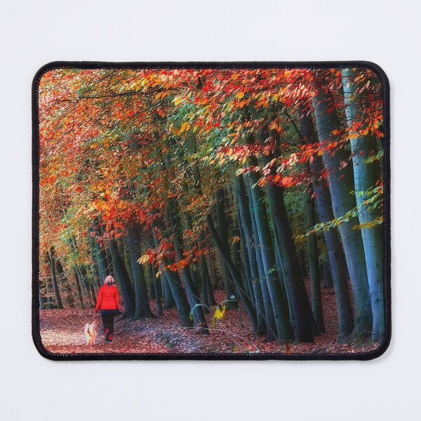 Item preview, Newmillerdam Autumn Woodland Portrait designed and sold by Alisonchambers2.