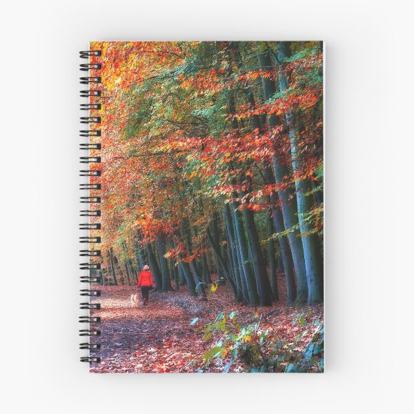 Item preview, Newmillerdam Autumn Woodland Portrait  designed and sold by Alisonchambers2.