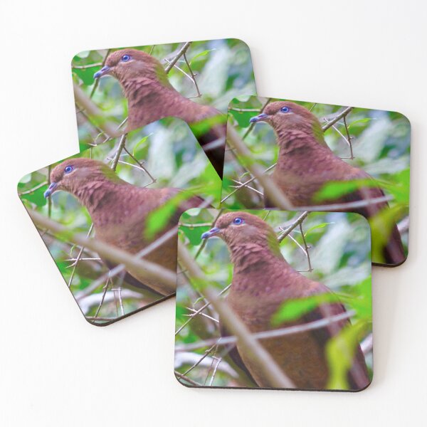 Item preview, The Brown Cuckoo Dove ! designed and sold by Mickangelhere.