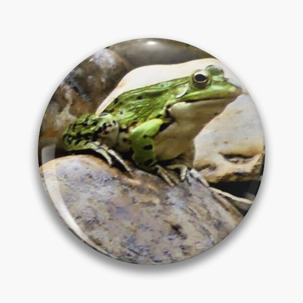 Item preview, frog designed and sold by rachariedel.