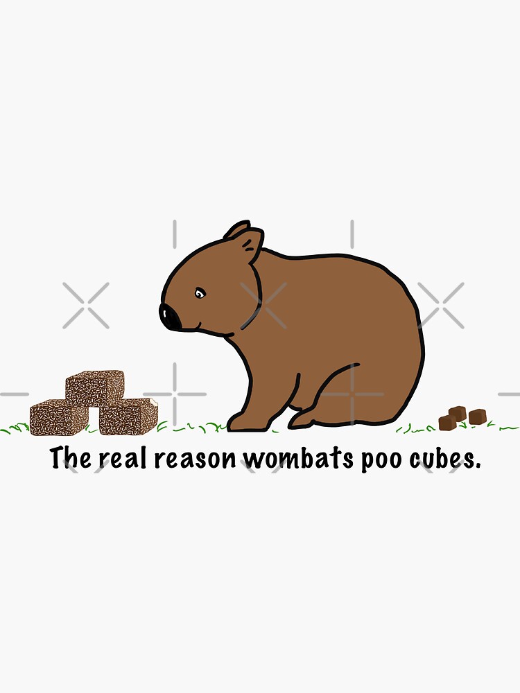 Imagen 3 de 3, Pegatina con la obra La verdad sobre la caca de wombat, diseñada y vendida por RainbowRhino.