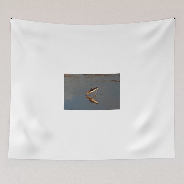 Item preview, Amercian avocet designed and sold by Susan  Watkins.