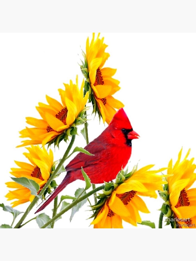 Aperçu 4 sur 4. Coussin avec l'œuvre ART FLORAL JARDIN CARDINAL ROUGE & JAUNES TOURNESOL créée et vendue par sharlesart.