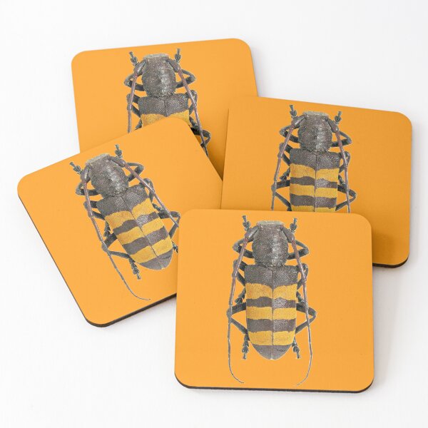 Item preview, Analeptes trifasciata beetle designed and sold by MorningFive.