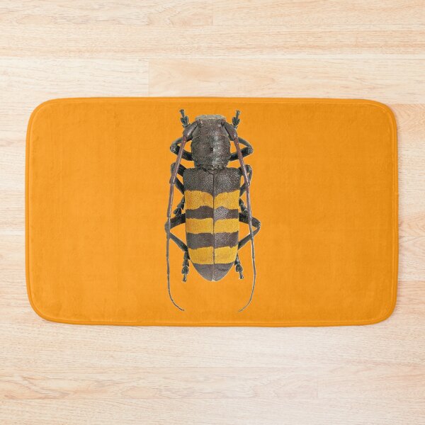 Item preview, Analeptes trifasciata beetle designed and sold by MorningFive.