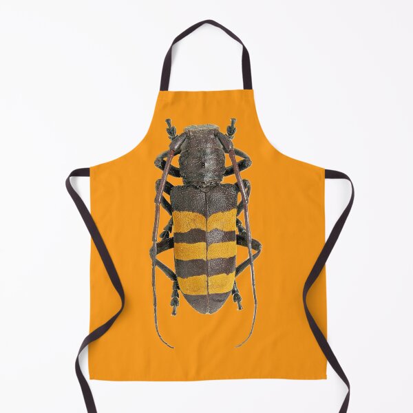Item preview, Analeptes trifasciata beetle designed and sold by MorningFive.