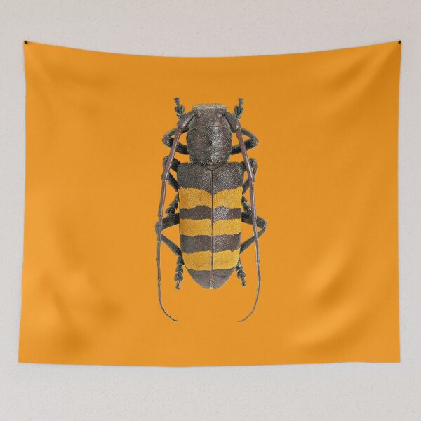 Item preview, Analeptes trifasciata beetle designed and sold by MorningFive.