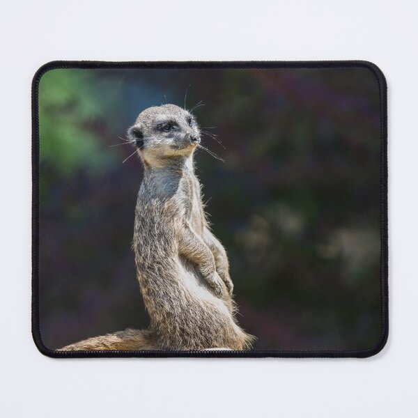 Item preview, Meerkat, mongoose designed and sold by Ingo Gerlach.