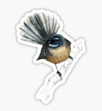 Mr Pīwakawaka -Fantail , New Zealand native bird Sticker