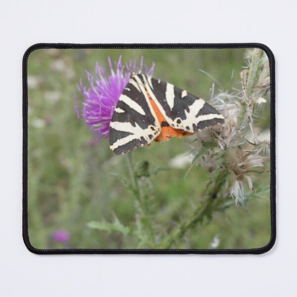 Item preview, insect designed and sold by rachariedel.