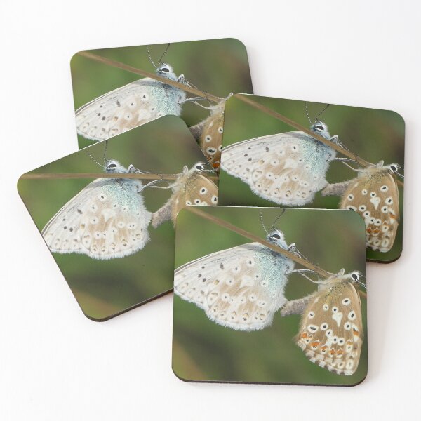 Item preview, insect designed and sold by rachariedel.