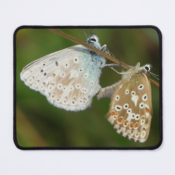 Item preview, insect designed and sold by rachariedel.