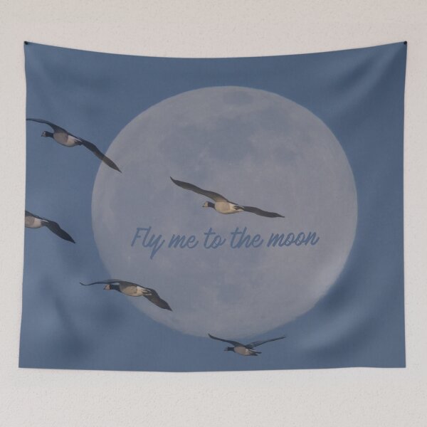 Item preview, Fly me to the moon designed and sold by Ingrid Hütten.