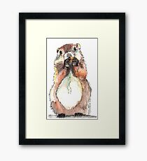 Dinky the Groundhog Framed Print
