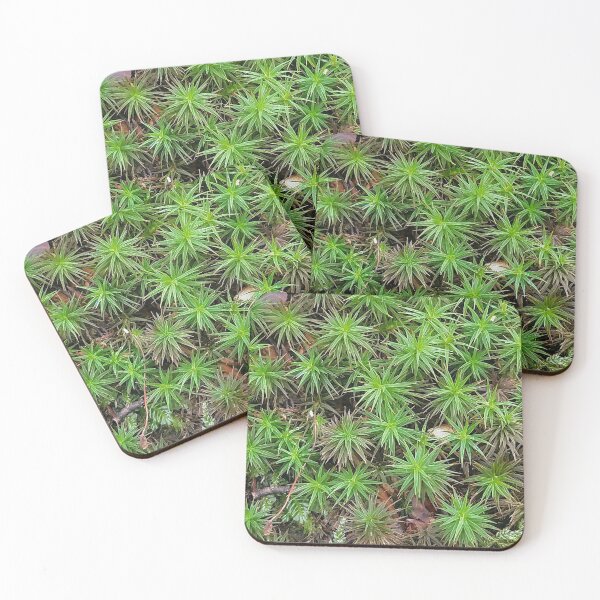 Item preview, Green Common Haircap Moss  designed and sold by DesignMore21.
