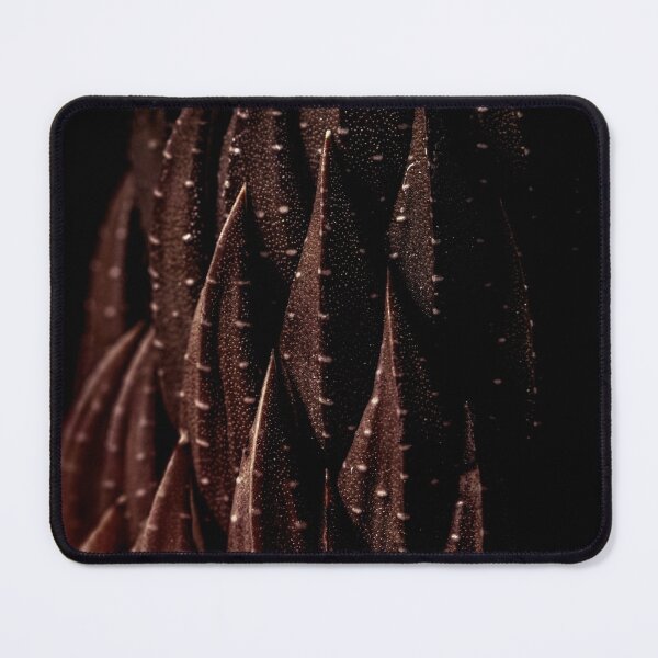 Item preview, Coffee Brown Cactus designed and sold by SulkaCreative.