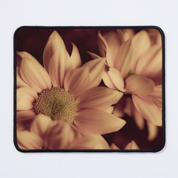 Item preview, Aster Flowers designed and sold by SulkaCreative.