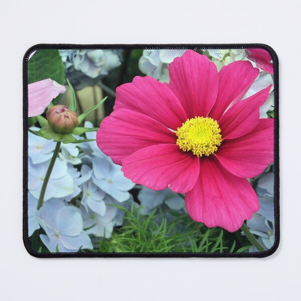 Item preview, Pink Cosmos designed and sold by pinkal.