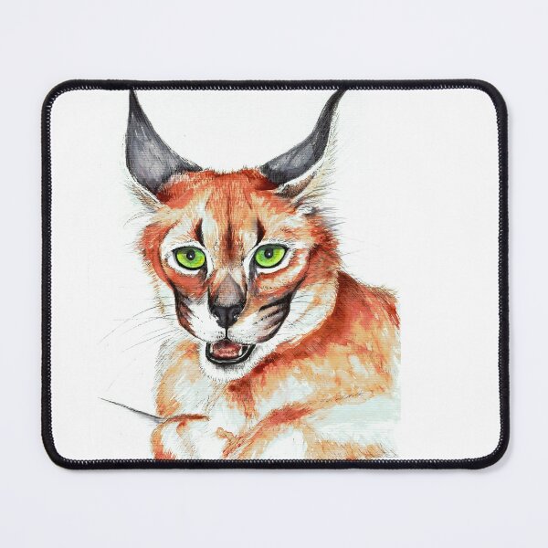 Caracal Gifts Merchandise Redbubble