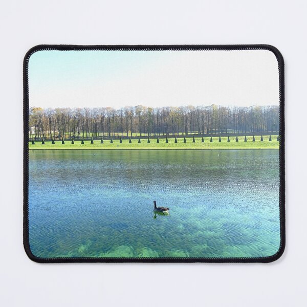 Item preview, Forest Lake. Goose on water. designed and sold by Stellagala.