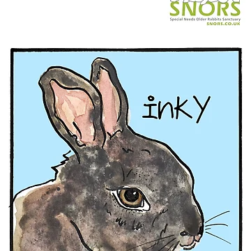 Artwork thumbnail, Inky by RescueRabbitPat