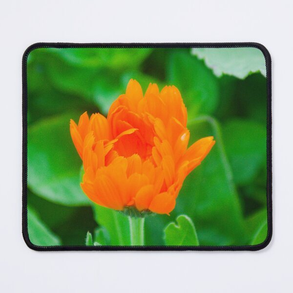 Item preview, elb marigold designed and sold by pcfyi.