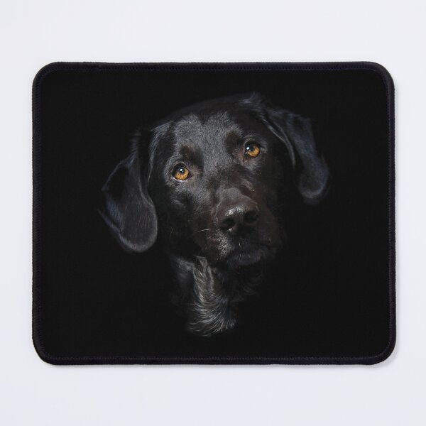 Item preview, Black Labrador Dog Face designed and sold by kudostees.